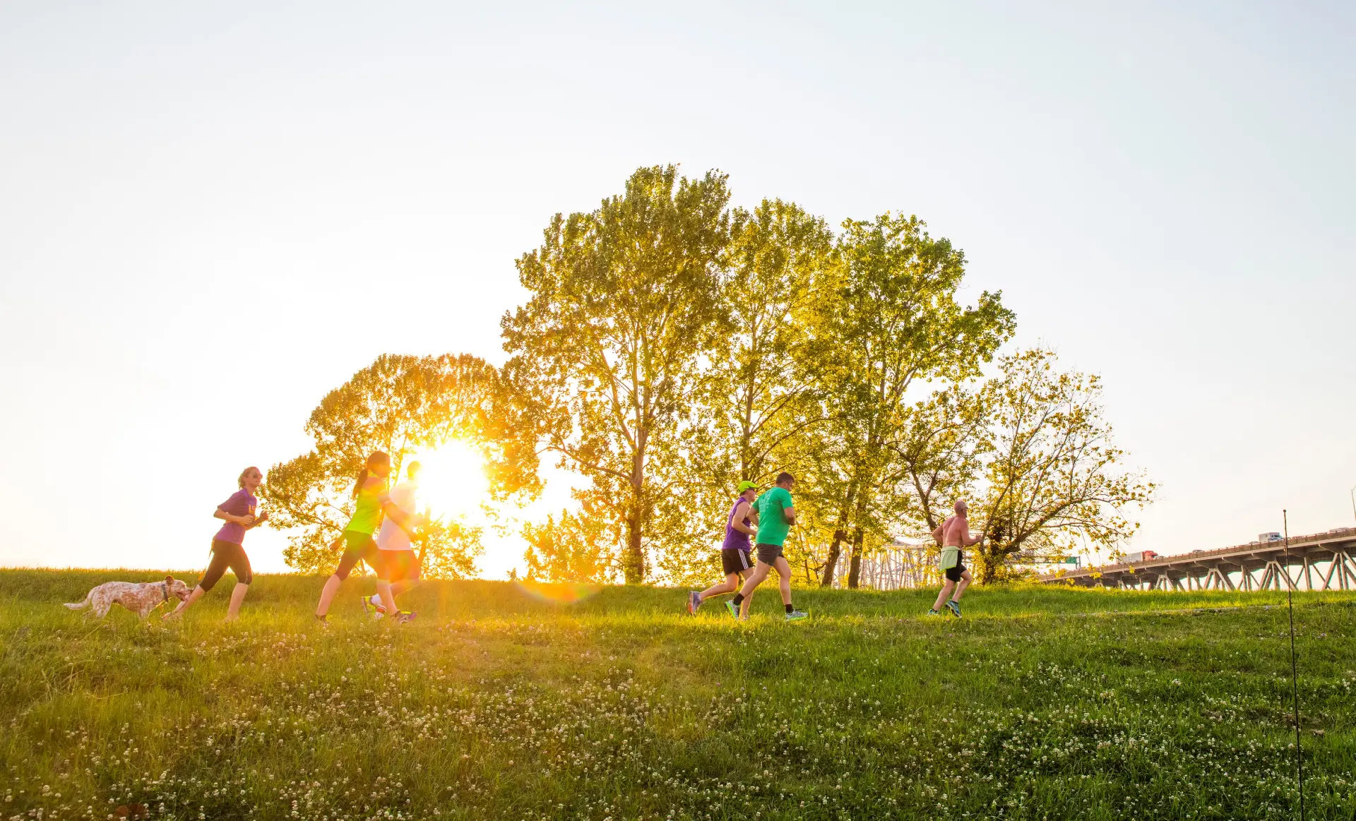 Levee along Mississippi River in Baton Rouge